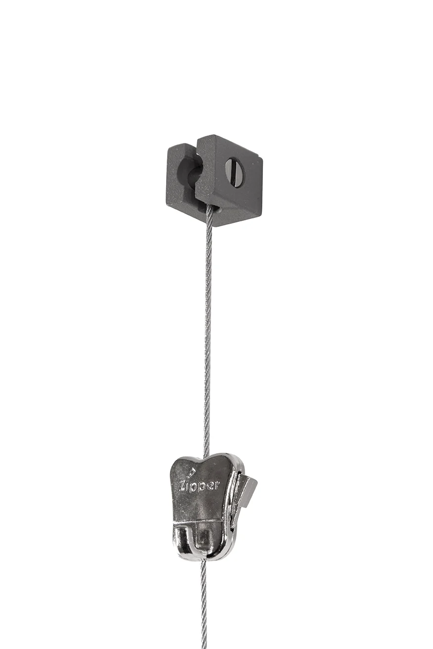 Picture hanging systems - ceiling mounted
